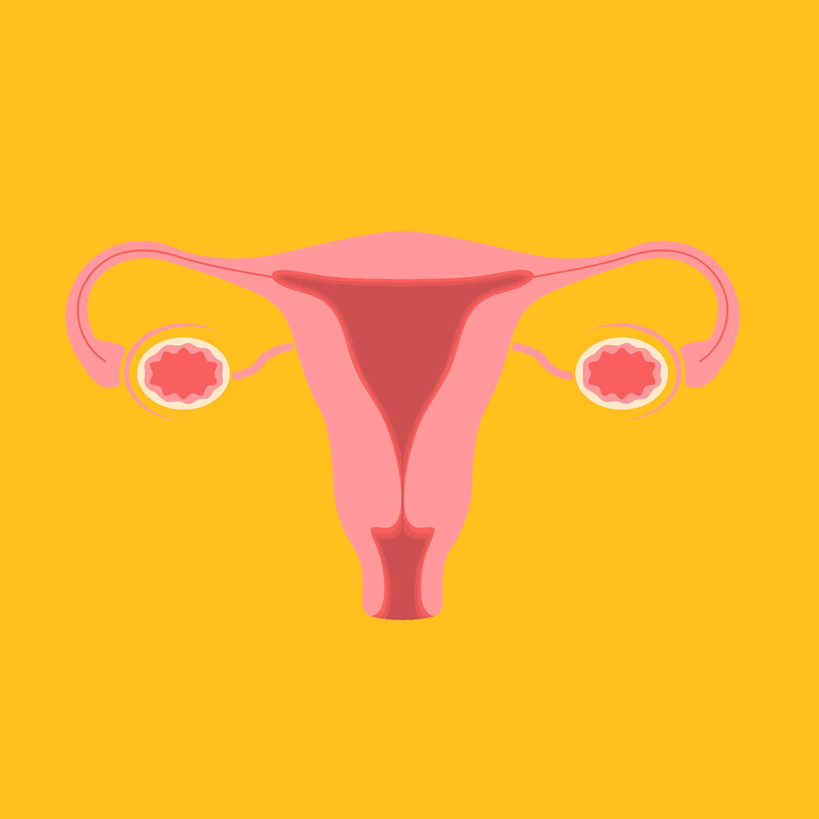 Ovarian Cancer Is Often a Silent Killer. Here Are the Subtle Symptoms to Look Out For